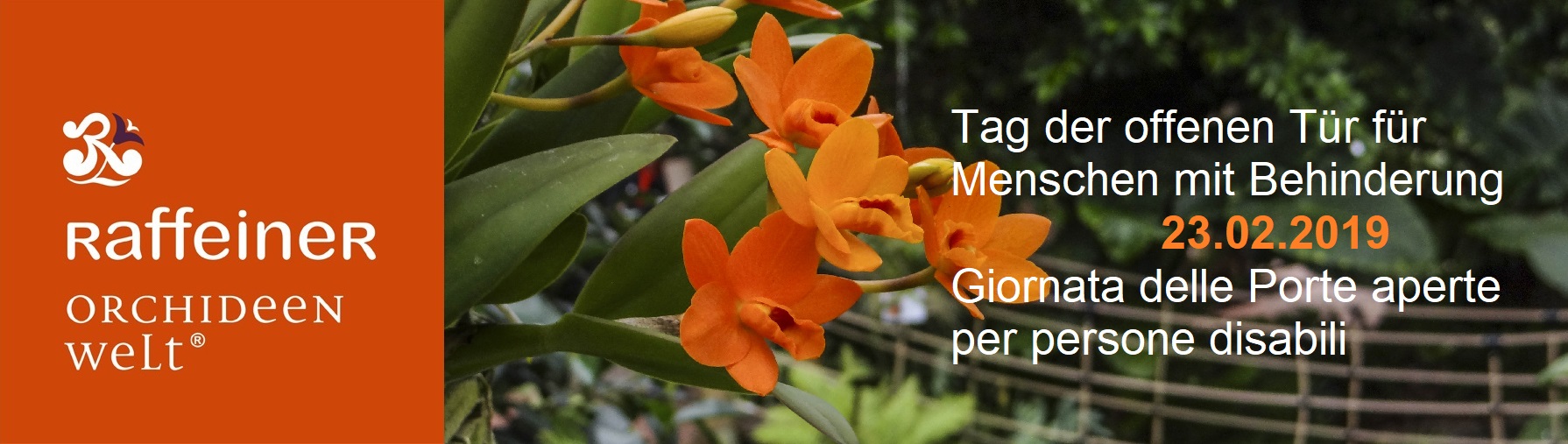 Einladung Tag der offenen T&uuml;r Orchideenwelt